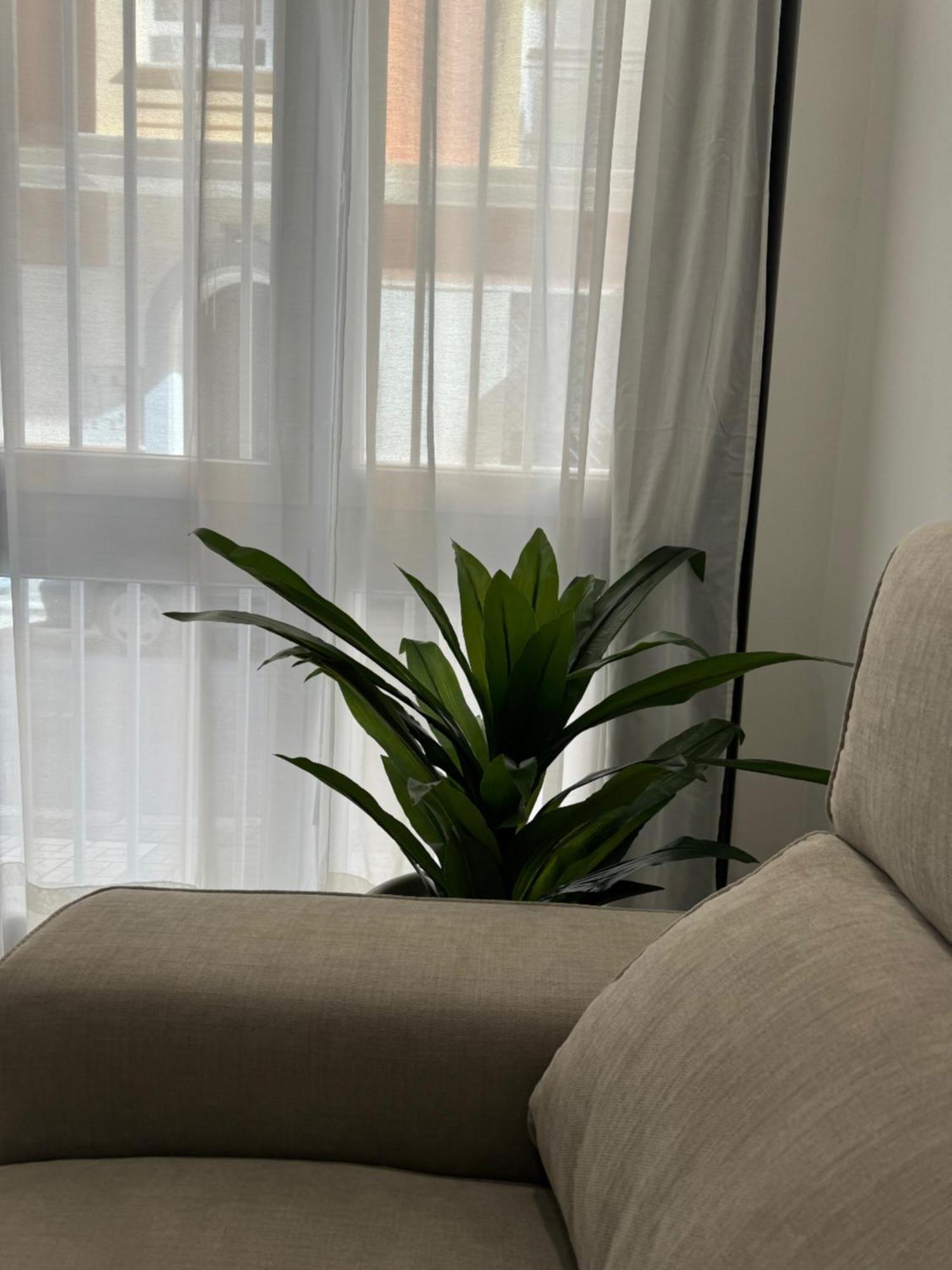 Alderete Suites Малага Екстериор снимка